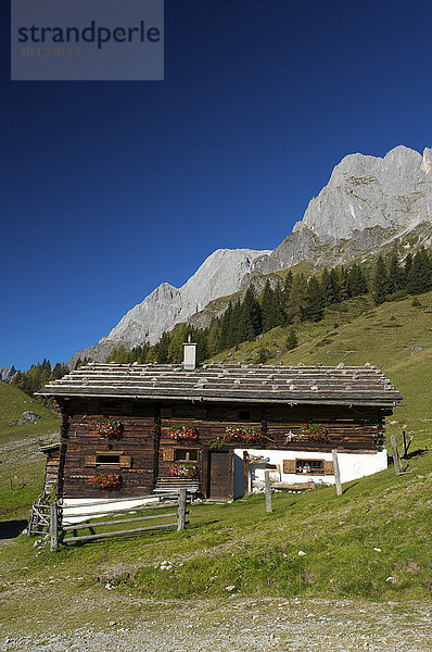 Alm beim Arthurhaus in Mühlbach vor den Mandlwänden des Hochkönigs im Pinzgau  Pongau im Salzburger Land  Österreich  Europa