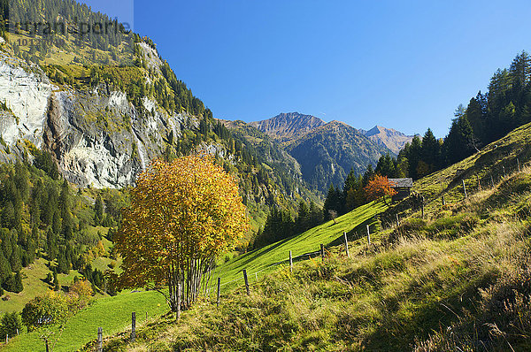 Blick auf Hüttschlag im Großarltal im Pongau im Salzburger Land  Österreich  Europa