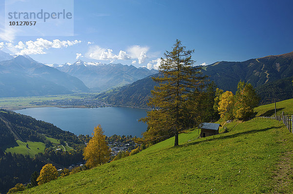 Zeller See mit Blick auf Thumersbach  Schüttdorf und Hohe Tauern  Pinzgau im Salzburger Land  Österreich  Europa