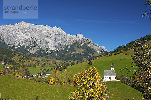 Dientener Tal mit Kapelle vor dem Hochkönig  Pinzgau im Salzburger Land  Österreich  Europa