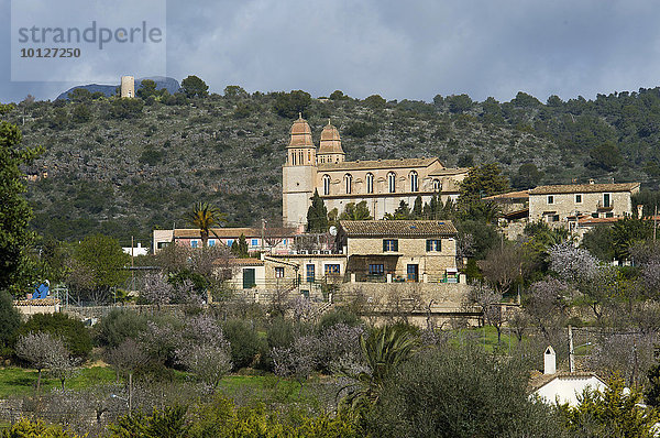Es Capdella während der Mandelblüte  Mallorca  Balearen  Spanien  Europa