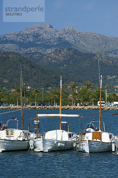 Fischerboote in Port d'Andratx  Mallorca  Balearen  Spanien  Europa