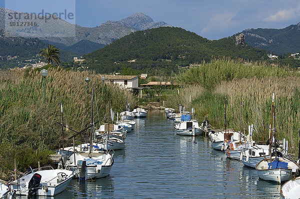 Kleiner Fischerhafen im Fluss  Port d'Andratx  Mallorca  Balearen  Spanien  Europa