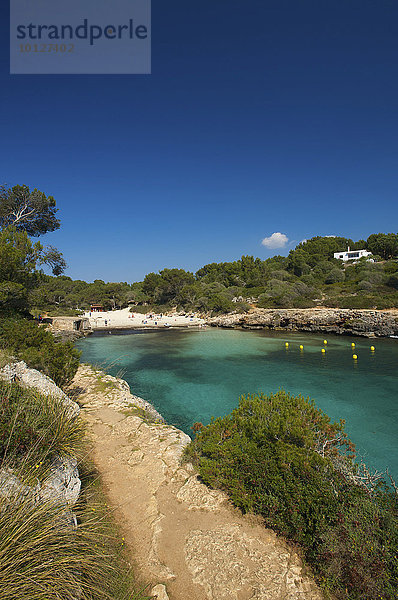 Bucht  Cala Sa Nau  Mallorca  Balearen  Spanien  Europa