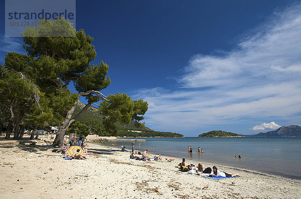 Strand Platja de Formentor  Cala Pi de la Posada  Mallorca  Balearen  Spanien  Europa