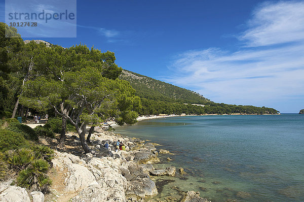 Strand Platja de Formentor  Cala Pi de la Posada  Mallorca  Balearen  Spanien  Europa
