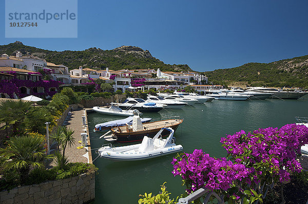 Luxus-Yachthafen in Poltu Quato  Costa Smeralda  Sardinien  Italien  Europa