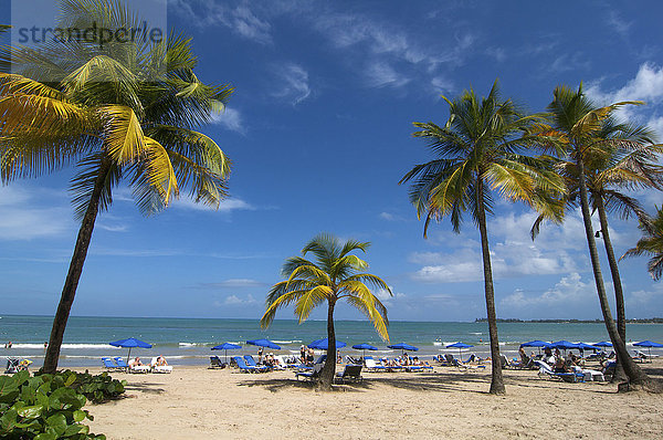 Palmenstrand in San Juan  Puerto Rico  Karibik  Nordamerika