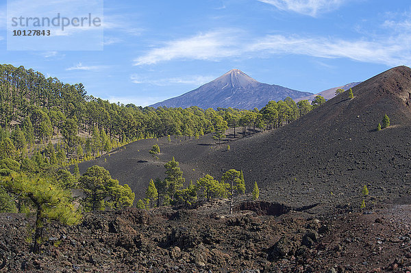Vulkanlandschaft  Teide-Nationalpark  Teneriffa  Kanaren  Spanien  Europa