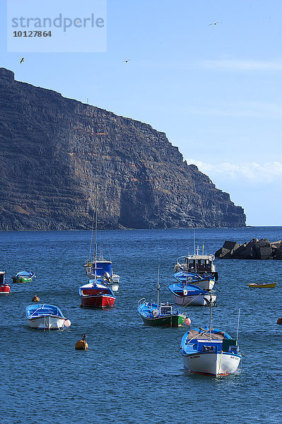 Fischerboote im Hafen von Vueltas  Valle Gran Rey  La Gomera  Kanaren  Spanien  Europa