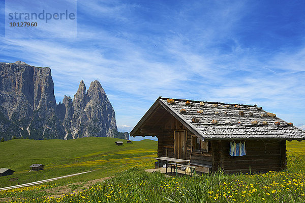 Alm auf der Seiser Alm mit Schlern  Seiser Alm  Dolomiten  Provinz Südtirol  Trentino-Südtirol  Italien  Europa