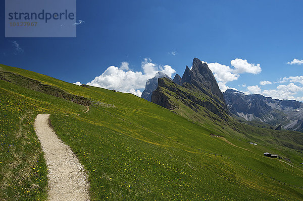 Geislerspitzen  Pana Scharte  Dolomiten  Seceda  Grödnertal  Provinz Südtirol  Trentino-Südtirol  Italien  Europa