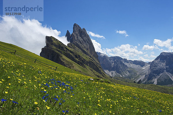 Geislerspitzen  Pana Scharte  Dolomiten  Seceda  Grödnertal  Provinz Südtirol  Trentino-Südtirol  Italien  Europa