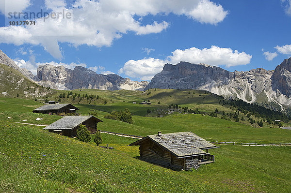 Alm auf der Seceda  Grödnertal  Dolomiten  Provinz Südtirol  Trentino-Südtirol  Italien  Europa