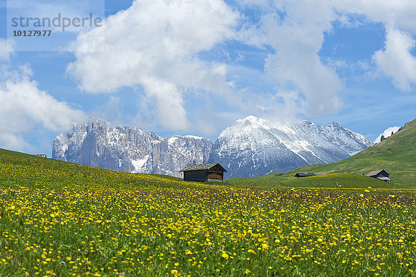 Almhütten  hinten Plattkofel und Langkofel  Seiser Alm  Dolomiten  Provinz Südtirol  Trentino-Südtirol  Italien  Europa
