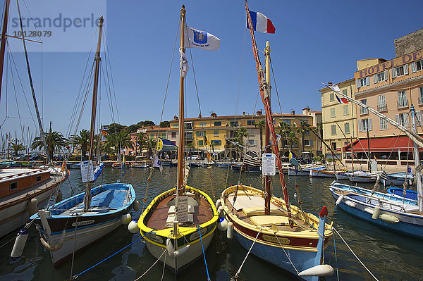 Hafen mit historischen Booten  Département Var  Region Provence-Alpes-Côte d?Azur  Frankreich  Europa