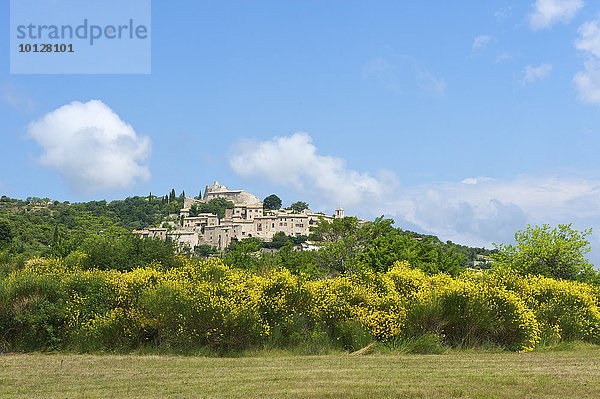 Dorfansicht  Simiane la Rotonde  Provence  Region Provence-Alpes-Côte d?Azur  Frankreich  Europa