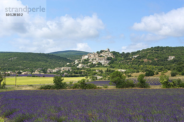 Lavendelfeld mit Dorf  Simiane la Rotonde  Provence  Region Provence-Alpes-Côte d?Azur  Frankreich  Europa