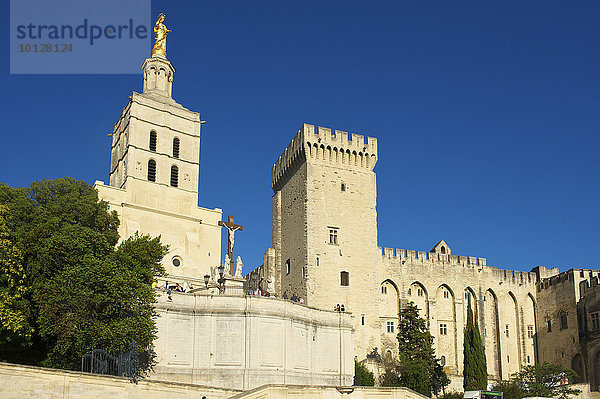 Papstpalast  Avignon  Provence  Region Provence-Alpes-Côte d?Azur  Frankreich  Europa