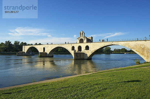 Brücke Pont Saint-Bénézet über die Rhone  Avignon  Provence  Region Provence-Alpes-Côte d?Azur  Frankreich  Europa