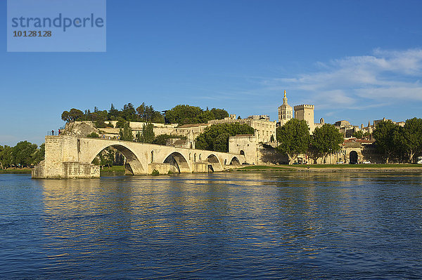 Brücke Pont Saint-Bénézet über die Rhone  Avignon  Provence  Region Provence-Alpes-Côte d?Azur  Frankreich  Europa