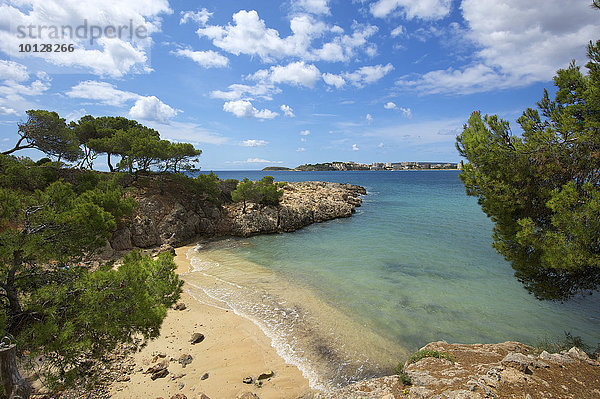 Küste Costa d'en Blanes  Punta Negra  Palmanova  Mallorca  Balearen  Spanien  Europa