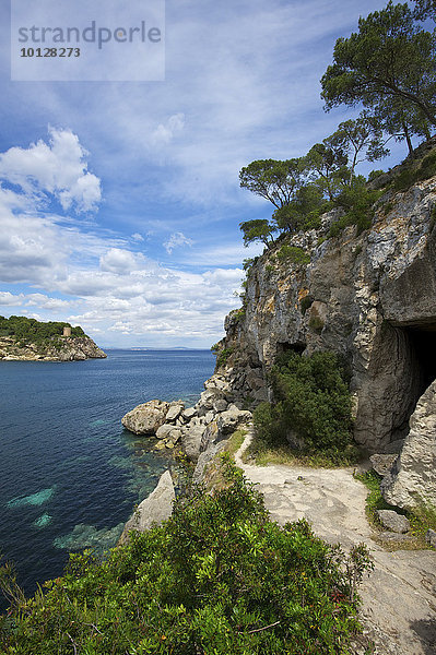 Höhleneingang  Cala Portals Vells  Portals Vells  Calvià  Mallorca  Balearen  Spanien  Europa