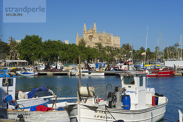Kathedrale La Seu und Fischerhafen  Palma de Mallorca  Mallorca  Balearen  Spanien  Europa