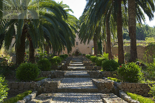 Treppenaufgang in den Jardines de Alfabia  Mallorca  Balearen  Spanien  Europa