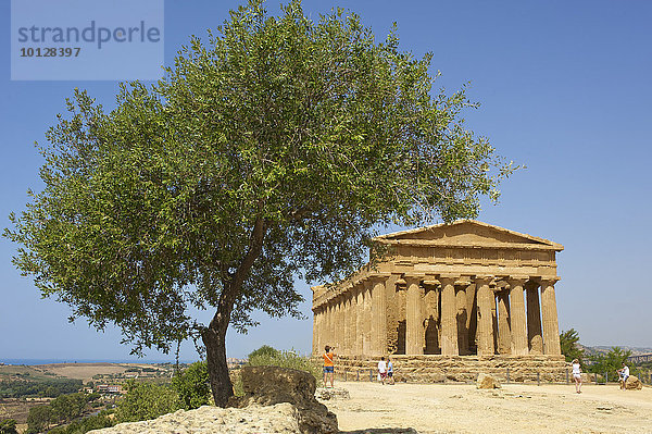 Tempio di Giunone  Agrigent  Provinz Agrigent  Sizilien  Italien  Europa