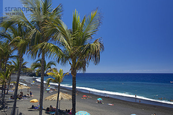 Palmen am Strand  Playa de Puerto Naos  La Palma  Kanarische Inseln  Spanien  Europa