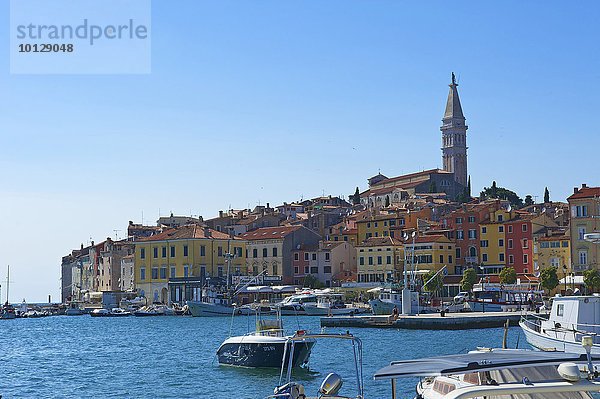 Altstadt  Rovinj  Istrien  Kroatien  Europa