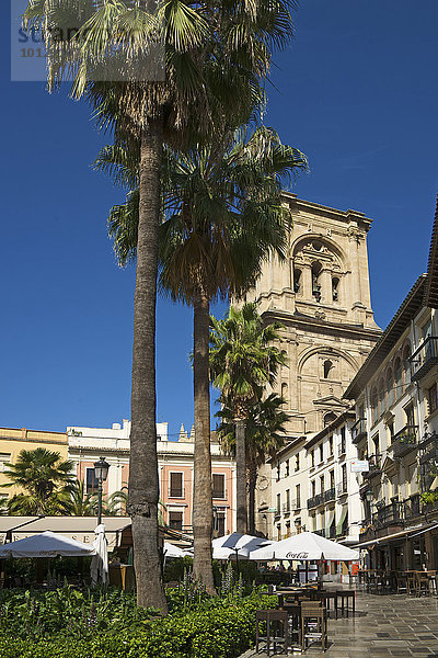 Plaza Romanilla mit dem Turm der Kathedrale von Granada  Granada  Andalusien  Spanien  Europa