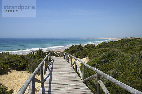 Holzbohlenweg zum Strand  Playa de la Barrosa  bei Novo Sancti Petri  Costa de la Luz  Andalusien  Spanien  Europa