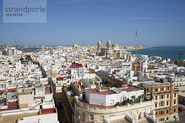 Ausblick vom Turm Torre Tavira zur Neuen Kathedrale  Cadiz  Costa de la Luz  Andalusien  Spanien  Europa