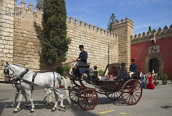 Kutsche am Plaza del Triunfo  Real Alcazar  Sevilla  Andalusien  Spanien  Europa