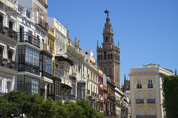 Glockenturm La Giralda  in Barrio de Santa Cruz  Sevilla  Andalusien  Spanien  Europa