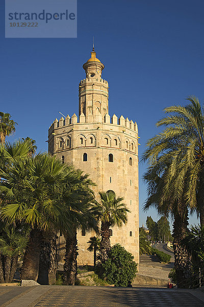 Torre del Oro an der Uferpromenade des Rio Guadalquivir  Sevilla  Andalusien  Spanien  Europa