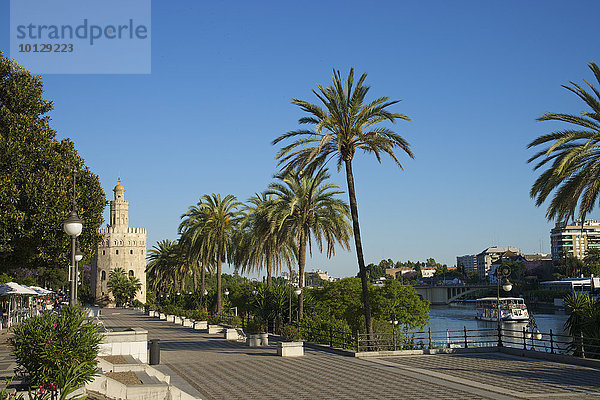 Torre del Oro an der Uferpromenade des Rio Guadalquivir  Sevilla  Andalusien  Spanien  Europa