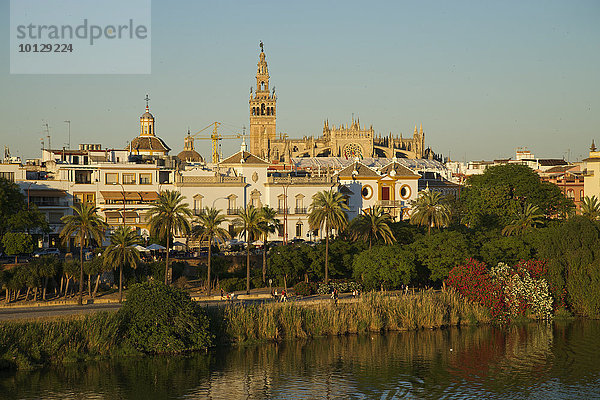 Ausblick über den Guadalquivir auf die Stierkampfarena und die Kathedrale  Sevilla  Andalusien  Spanien  Europa