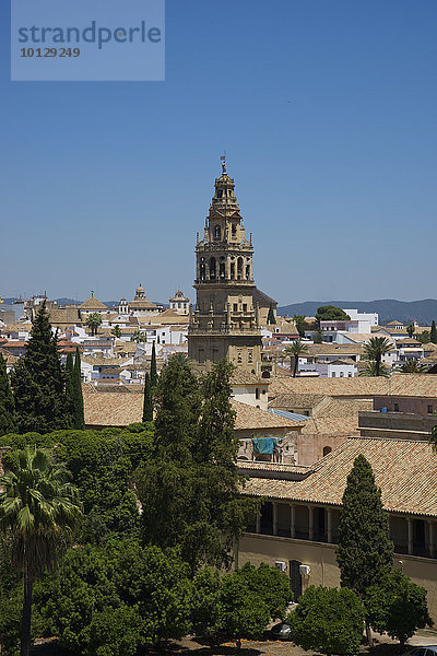 Glockenturm der Mezquita de Cordoba  Cordoba  Andalusien  Spanien  Europa