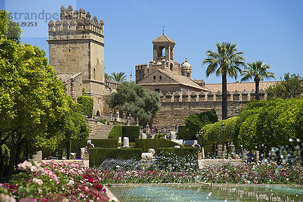 Garten im Alcázar de los Reyes Cristianos  Cordoba  Andalusien  Spanien  Europa