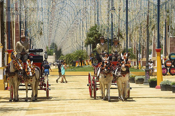 Kutschen auf der Feria del Caballo  Jerez de la Frontera  Andalusien  Spanien  Europa