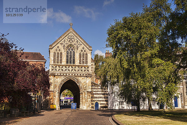 Tor Ethelbert Gate  Kathedrale von Norwich  Norwich  Norfolk  England  Großbritannien  Europa