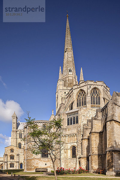 Kathedrale von Norwich  Norwich  Norfolk  England  Großbritannien  Europa