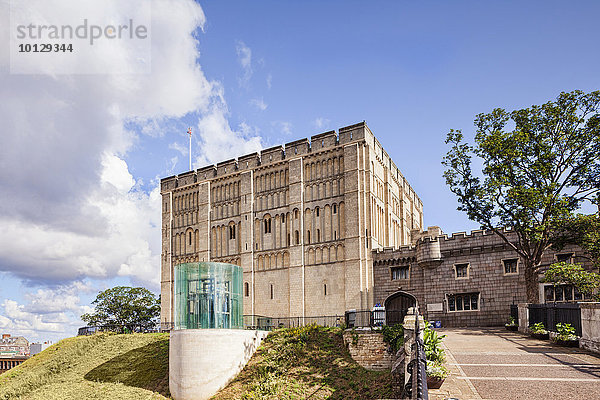 Norwich Castle  Norwich  Norfolk  England  Großbritannien  Europa