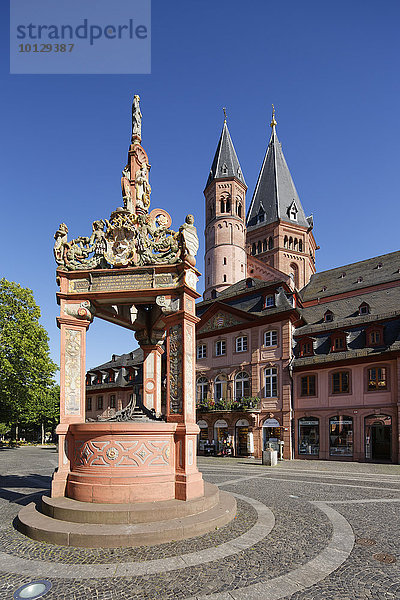 Marktbrunnen und Mainzer Dom St. Martin  Mainz  Rheinland-Pfalz  Deutschland  Europa