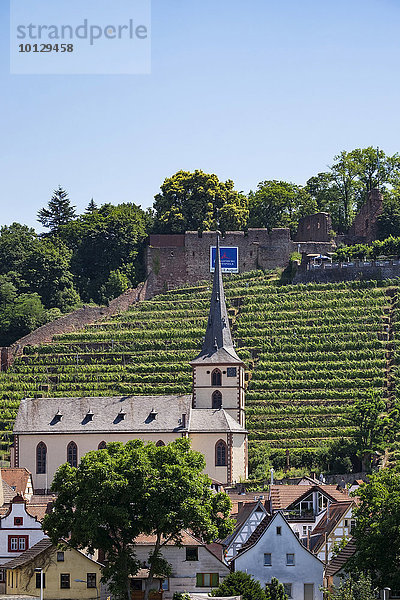 Kirche St. Pankratius und Ruine Clingenburg  Klingenberg am Main  Unterfranken  Franken  Bayern  Deutschland  Europa