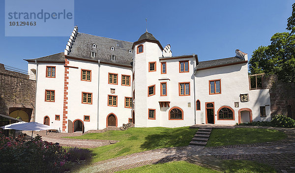 Burg Mildenburg  Miltenberg  Mainviereck  Unterfranken  Franken  Bayern  Deutschland  Europa