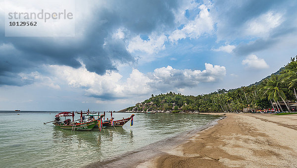 Longtail-Boote am Sandstrand mit Palmen  Insel Koh Tao  Golf von Thailand  Thailand  Asien